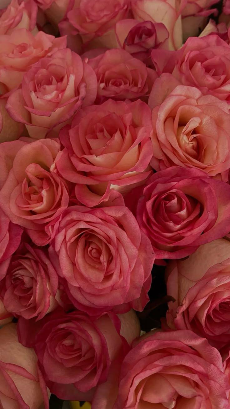 Timeless Elegance: Classic Rose Medley
